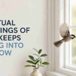 spiritual meanings of bird keeps flying into window