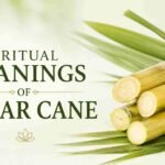 spiritual meanings of sugar cane